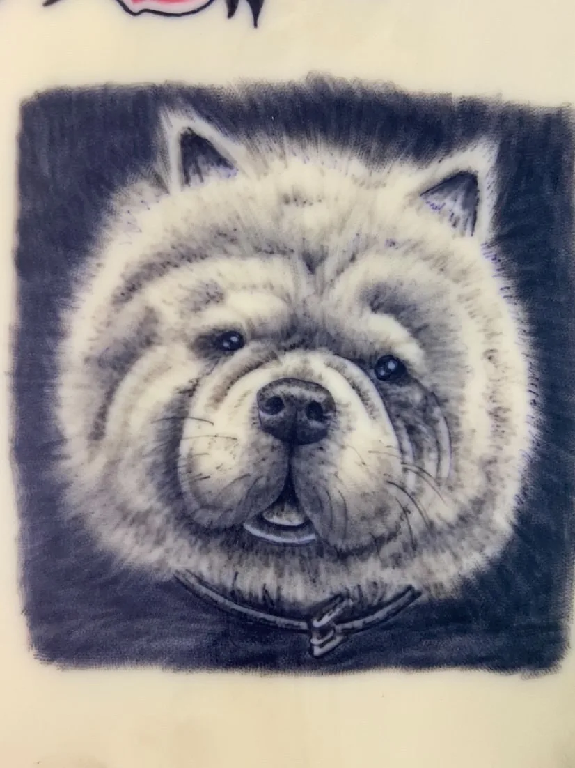 TP élève — portrait de chow-chow réalisé sur peau synthétique