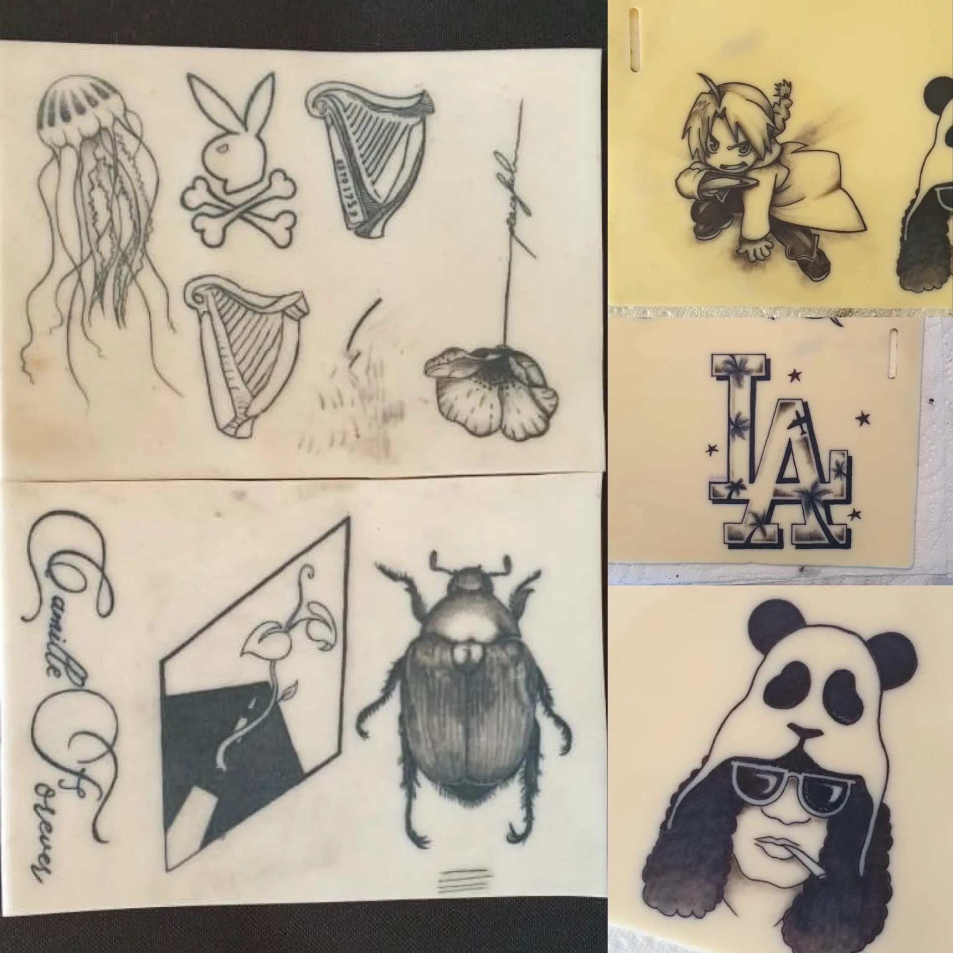 TP élèves — collage flashs : méduse, lapin, harpe, scarabée, LA et panda