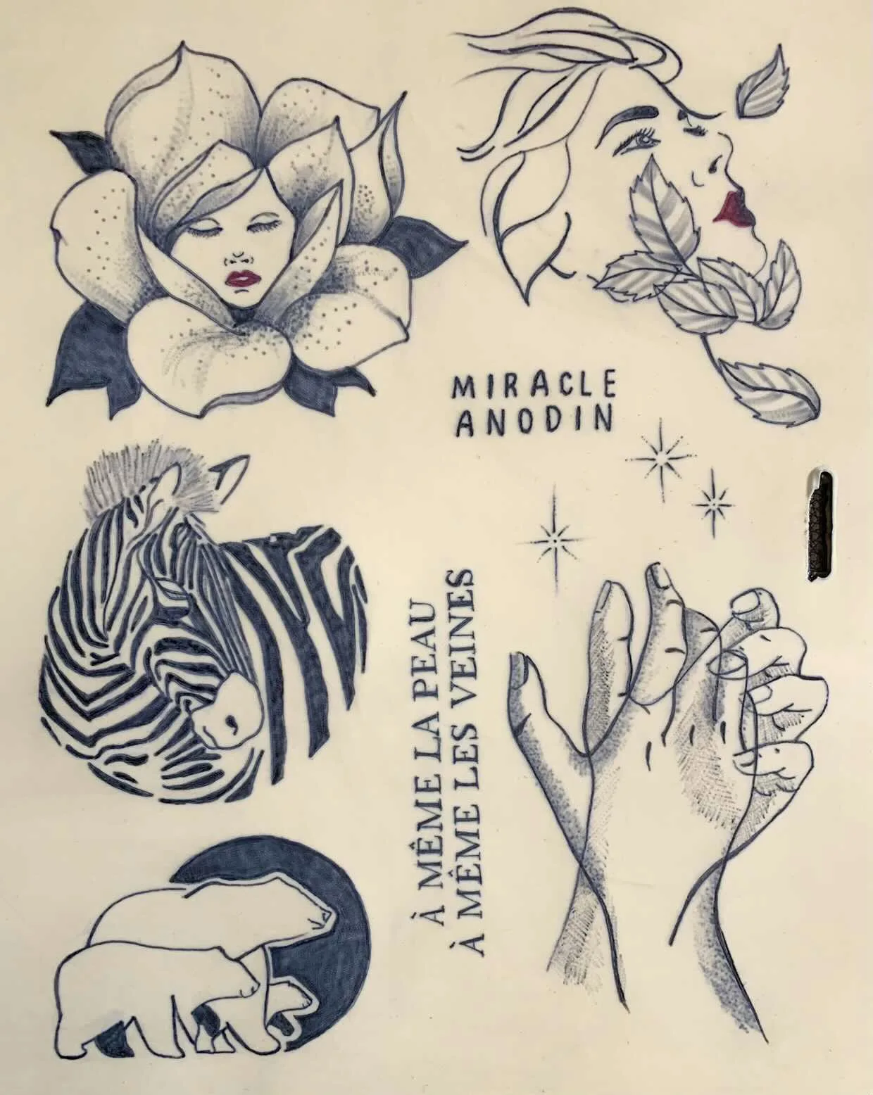 TP élève — planche Miracle Anodin avec portraits, zèbre et mains