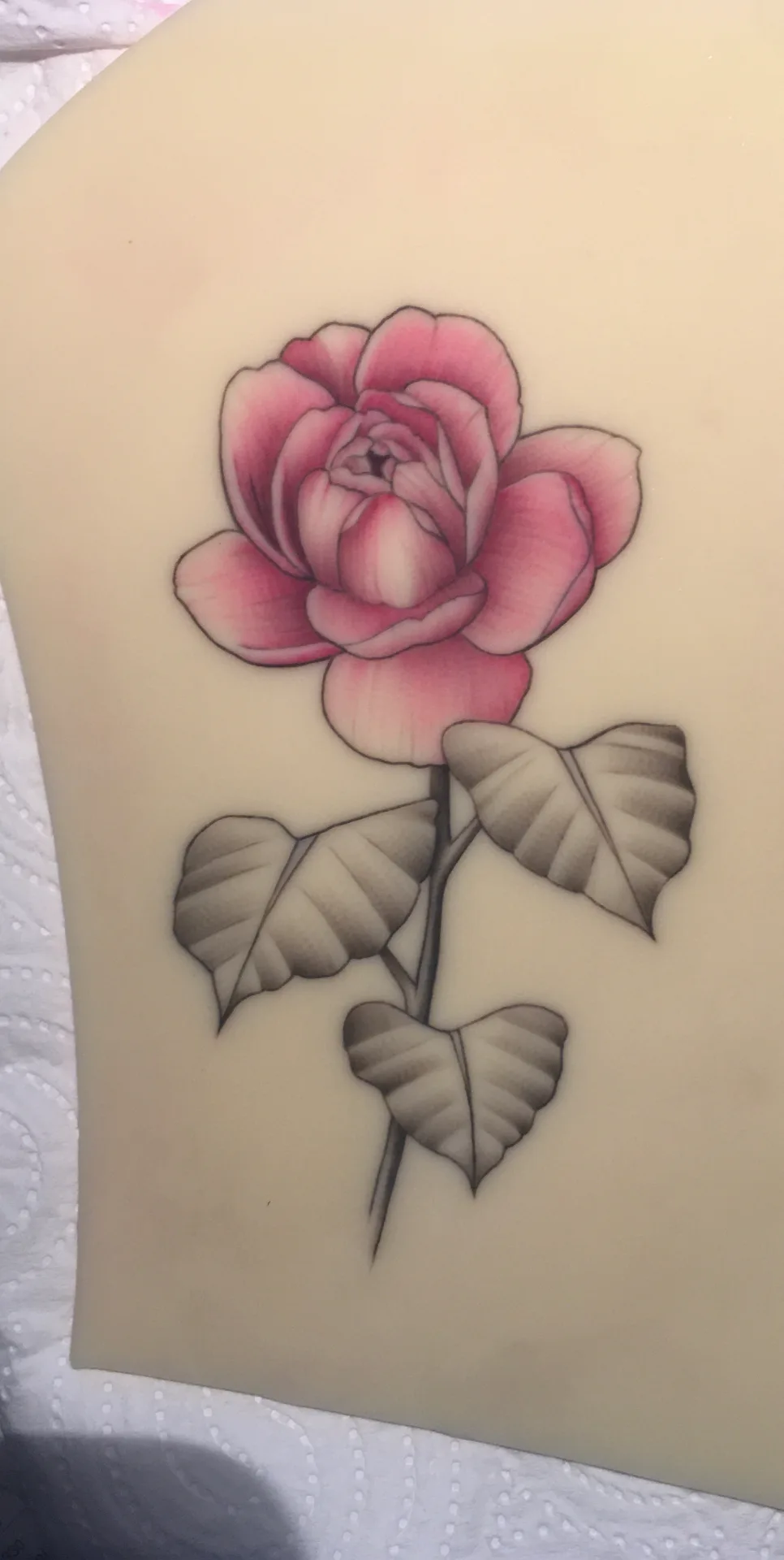 TP élève — rose rose en couleur sur peau synthétique