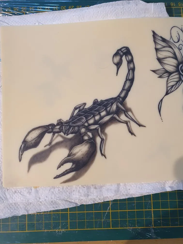 TP élève — scorpion détaillé en black & grey
